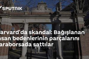 Harvard'da skandal: Bağışlanan insan bedenlerinin parçalarını karaborsada sattılar