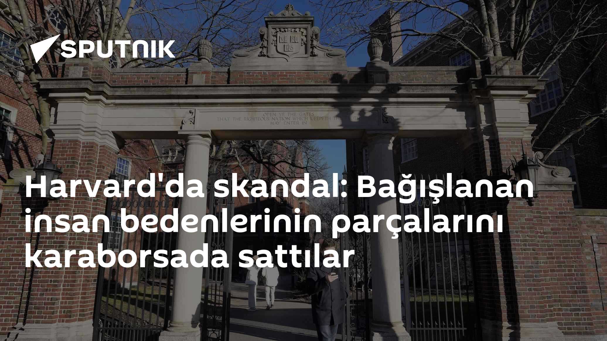 Harvard'da skandal: Bağışlanan insan bedenlerinin parçalarını karaborsada sattılar