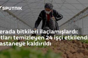Serada bitkileri ilaçlamışlardı: Otları temizleyen 24 işçi etkilendi, hastaneye kaldırıldı