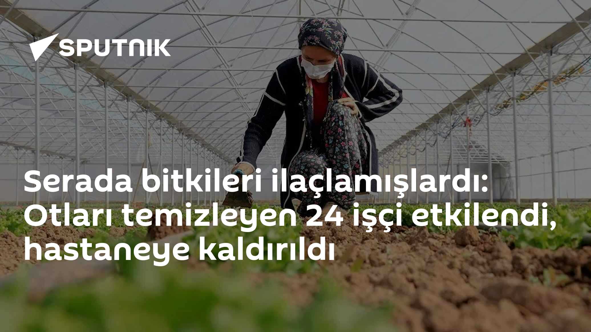 Serada bitkileri ilaçlamışlardı: Otları temizleyen 24 işçi etkilendi, hastaneye kaldırıldı