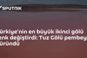 Türkiye'nin en büyük ikinci gölü renk değiştirdi: Tuz Gölü pembeye büründü
