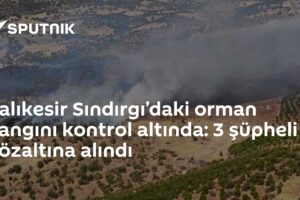 Balıkesir Sındırgı’daki orman yangını kontrol altında: 3 şüpheli gözaltına alındı