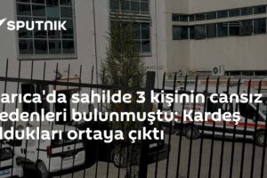 Darıca'da sahilde 3 kişinin cansız bedenleri bulunmuştu: Kardeş oldukları ortaya çıktı