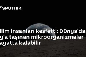 Bilim insanları keşfetti: Dünya'dan Ay'a taşınan mikroorganizmalar hayatta kalabilir