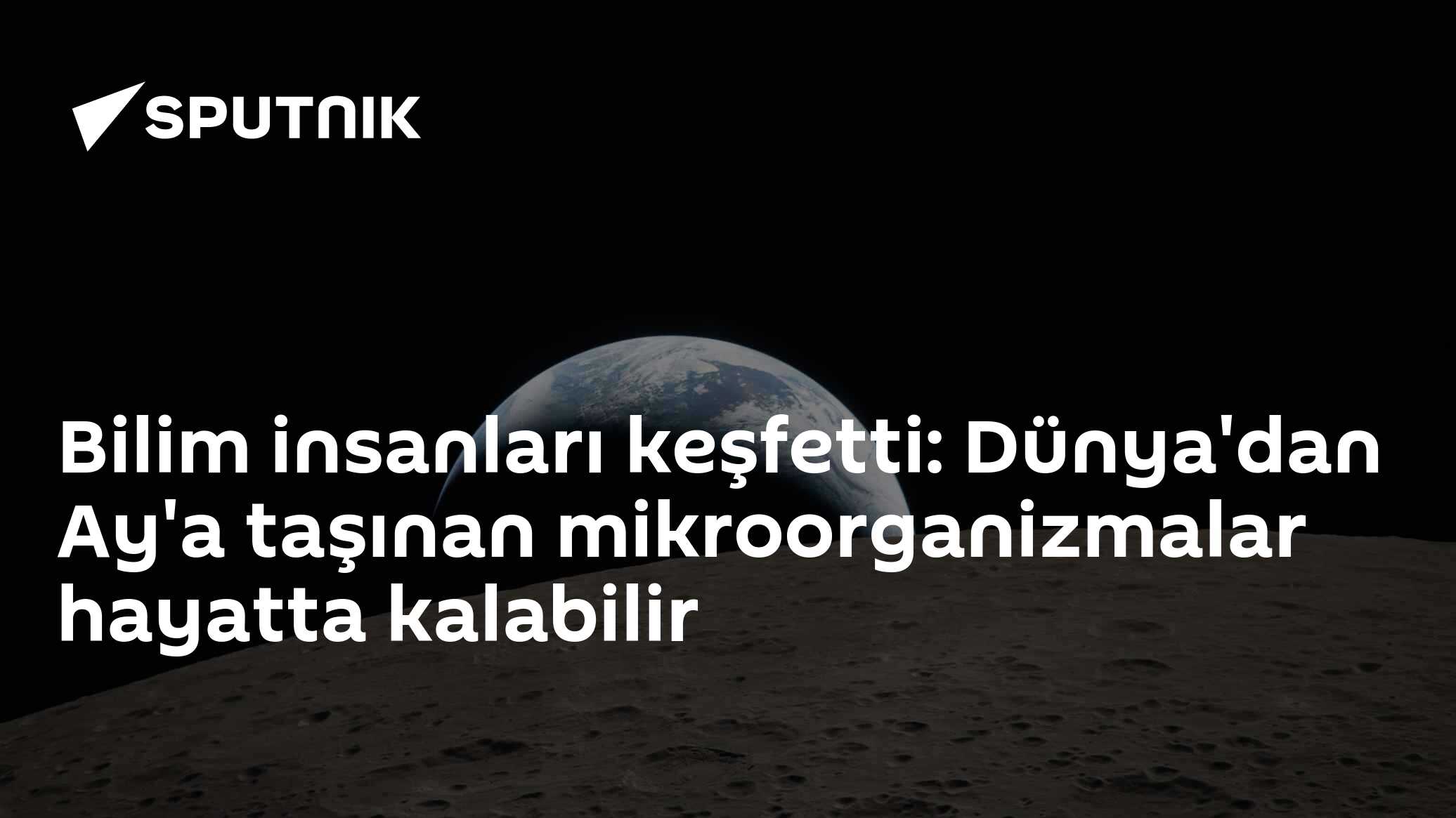 Bilim insanları keşfetti: Dünya'dan Ay'a taşınan mikroorganizmalar hayatta kalabilir
