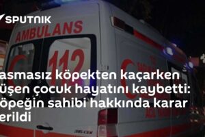 Tasmasız köpekten kaçarken düşen çocuk hayatını kaybetti: Köpeğin sahibi hakkında karar verildi