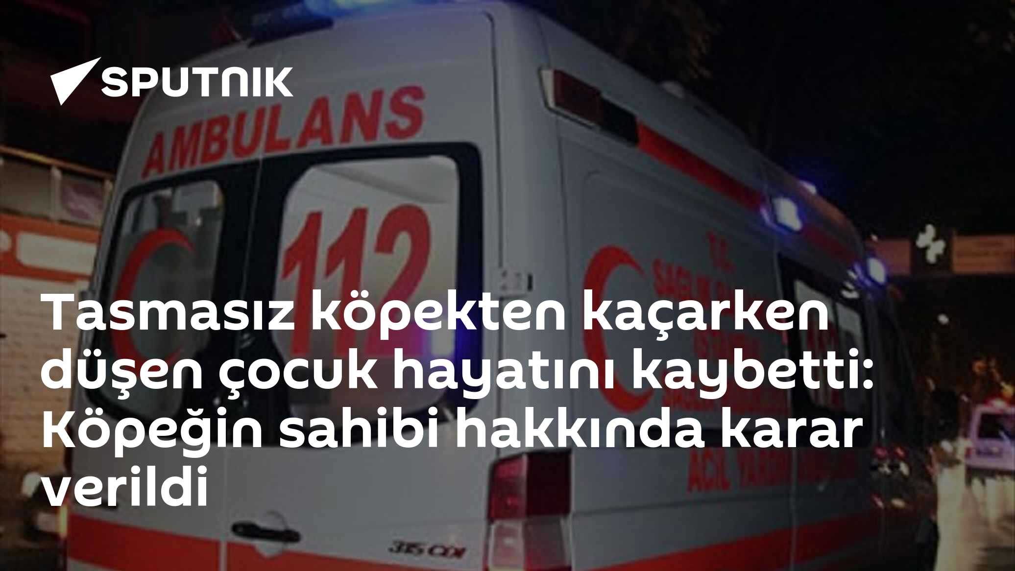 Tasmasız köpekten kaçarken düşen çocuk hayatını kaybetti: Köpeğin sahibi hakkında karar verildi