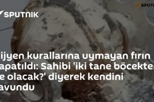 Hijyen kurallarına uymayan fırın kapatıldı: Sahibi 'iki tane böcekten ne olacak?' diyerek kendini savundu