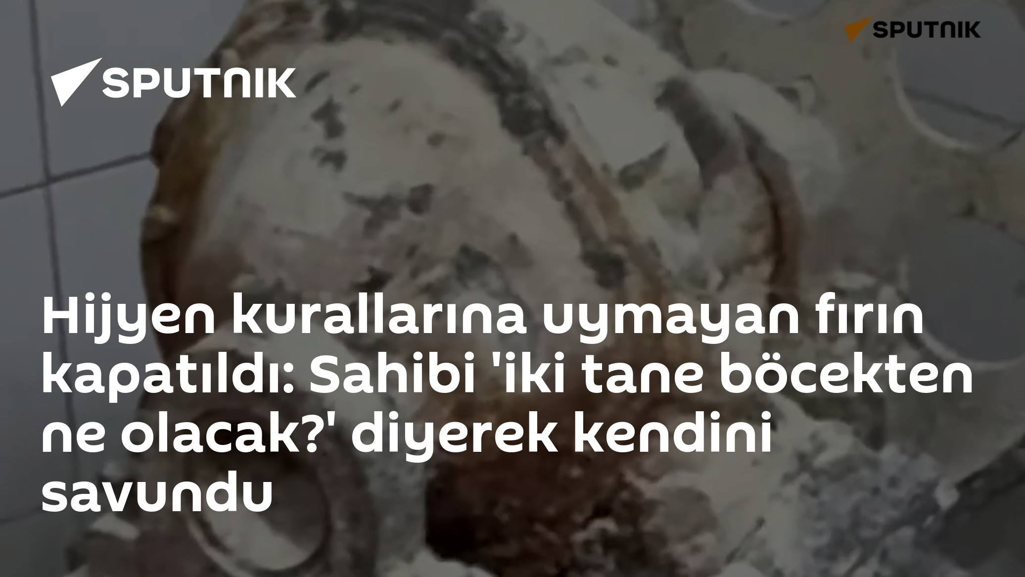 Hijyen kurallarına uymayan fırın kapatıldı: Sahibi 'iki tane böcekten ne olacak?' diyerek kendini savundu