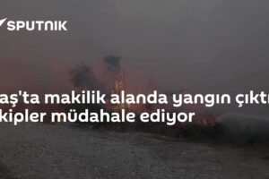 Kaş'ta makilik alanda yangın çıktı: Ekipler müdahale ediyor