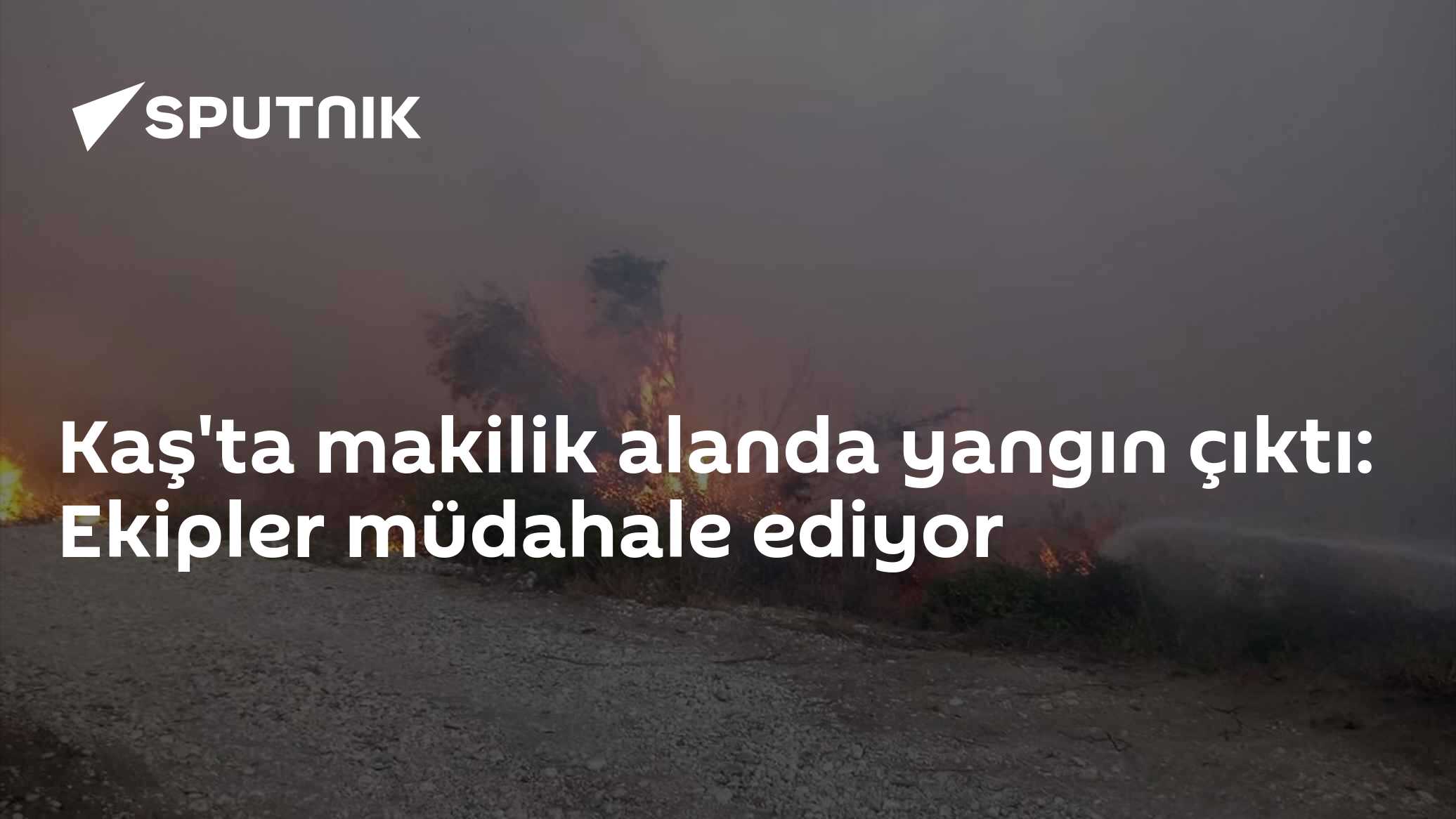 Kaş'ta makilik alanda yangın çıktı: Ekipler müdahale ediyor