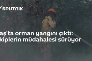 Kaş'ta orman yangını çıktı: Ekiplerin müdahalesi sürüyor