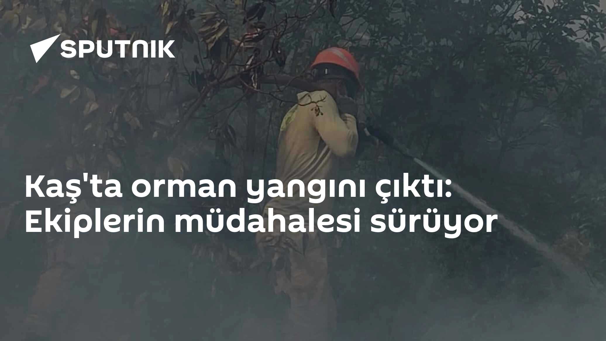 Kaş'ta orman yangını çıktı: Ekiplerin müdahalesi sürüyor
