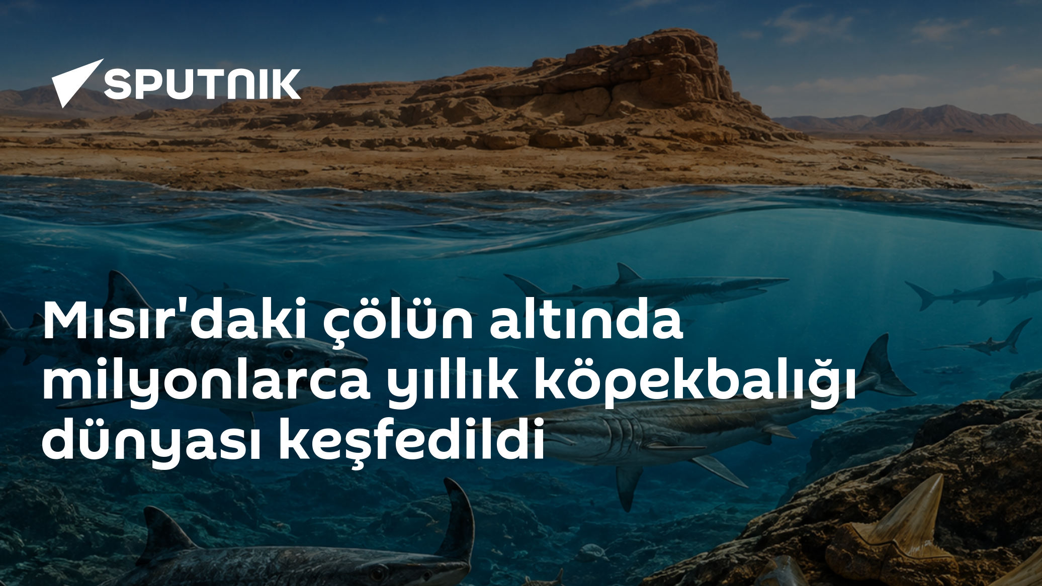 Mısır'daki çölün altında milyonlarca yıllık köpekbalığı dünyası keşfedildi