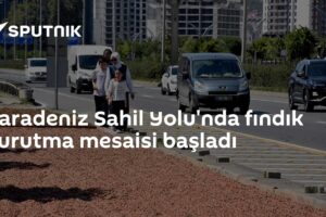 Karadeniz Sahil Yolu'nda fındık kurutma mesaisi başladı