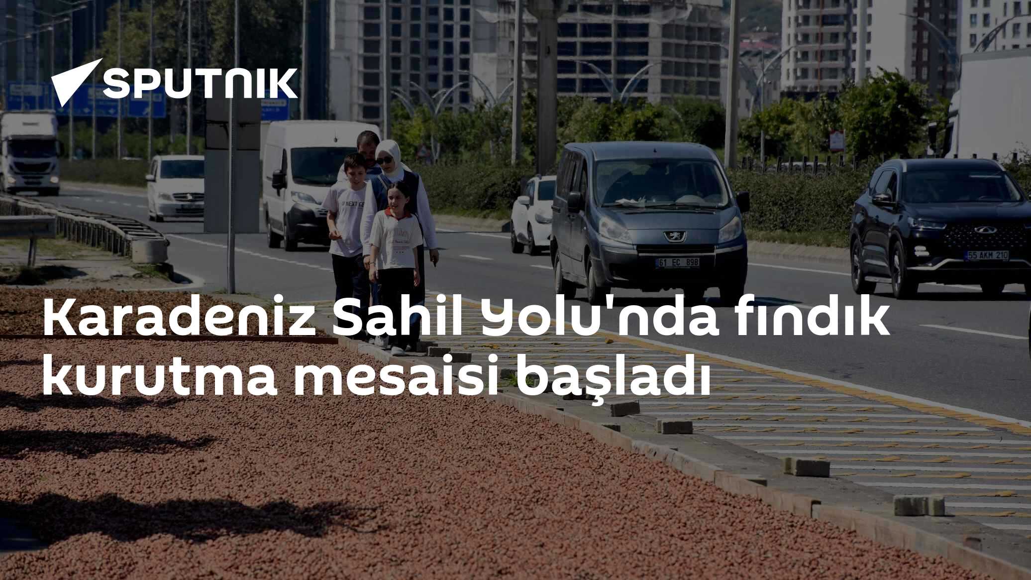 Karadeniz Sahil Yolu'nda fındık kurutma mesaisi başladı