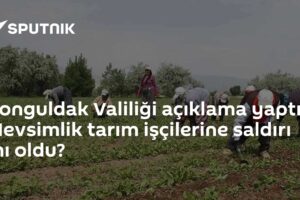 Zonguldak Valiliği açıklama yaptı: Mevsimlik tarım işçilerine saldırı mı oldu?