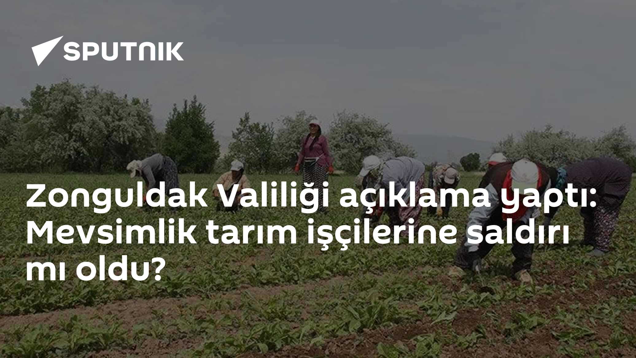 Zonguldak Valiliği açıklama yaptı: Mevsimlik tarım işçilerine saldırı mı oldu?