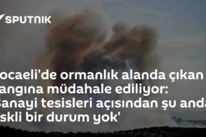 Kocaeli'de ormanlık alanda çıkan yangına müdahale ediliyor: 'Sanayi tesisleri açısından şu anda riskli bir durum yok'