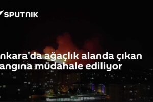 Ankara'da ağaçlık alanda çıkan yangına müdahale ediliyor