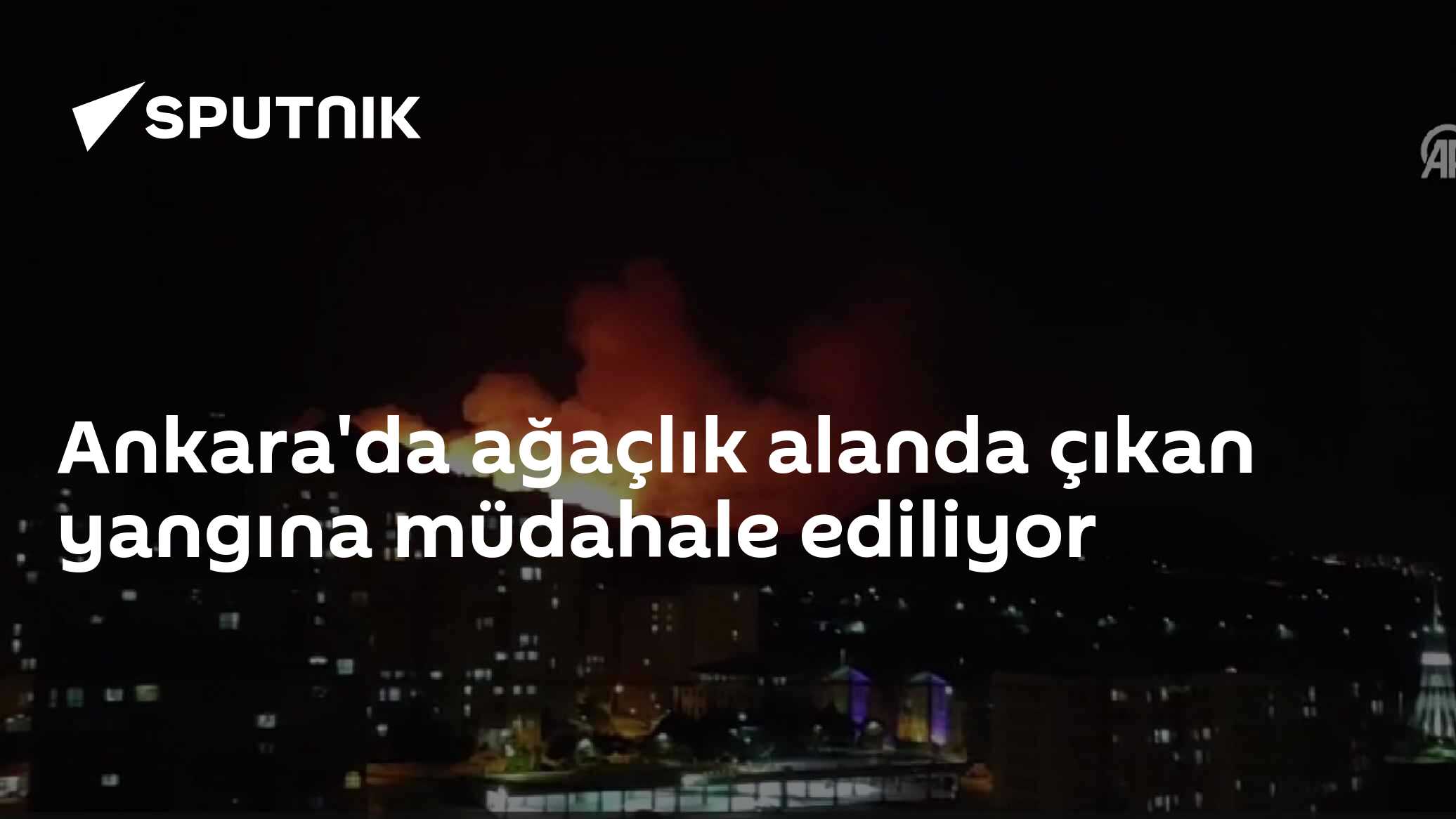 Ankara'da ağaçlık alanda çıkan yangına müdahale ediliyor