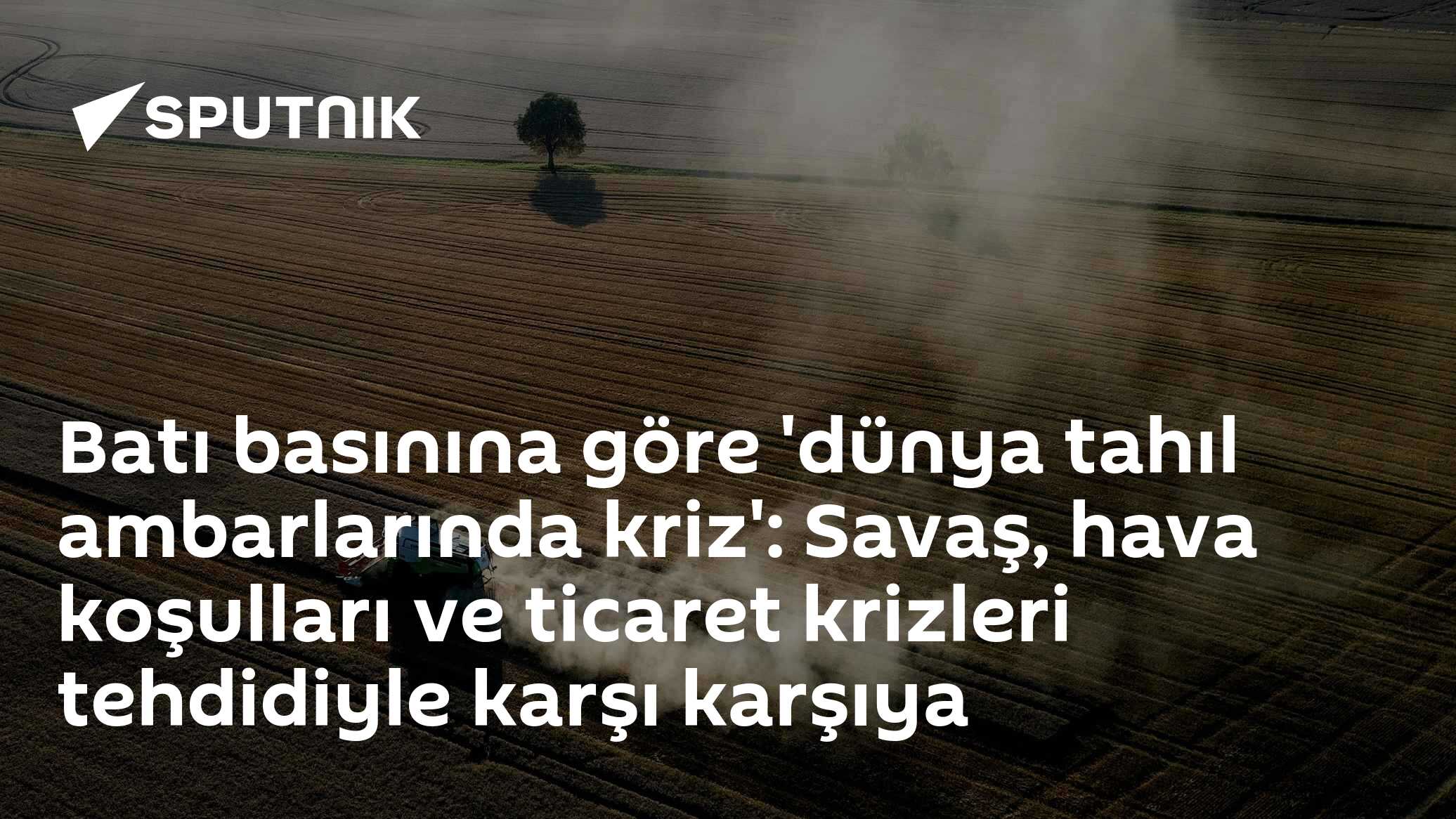Batı basınına göre 'dünya tahıl ambarlarında kriz': Savaş, hava koşulları ve ticaret krizleri tehdidiyle karşı karşıya