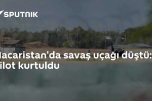 Macaristan'da savaş uçağı düştü: Pilot kurtuldu