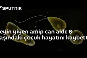 Beyin yiyen amip can aldı: 8 yaşındaki çocuk hayatını kaybetti