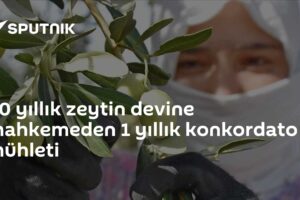 40 yıllık zeytin devine mahkemeden 1 yıllık konkordato mühleti