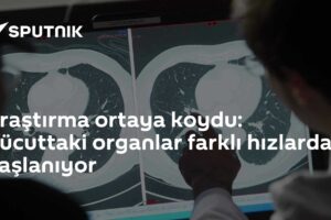 Araştırma ortaya koydu: Vücuttaki organlar farklı hızlarda yaşlanıyor