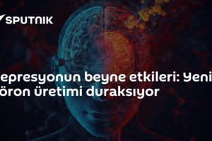 Depresyonun beyne etkileri: Yeni nöron üretimi duraksıyor
