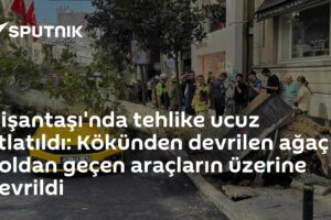 Nişantaşı'nda tehlike ucuz atlatıldı: Kökünden devrilen ağaç yoldan geçen araçların üzerine devrildi