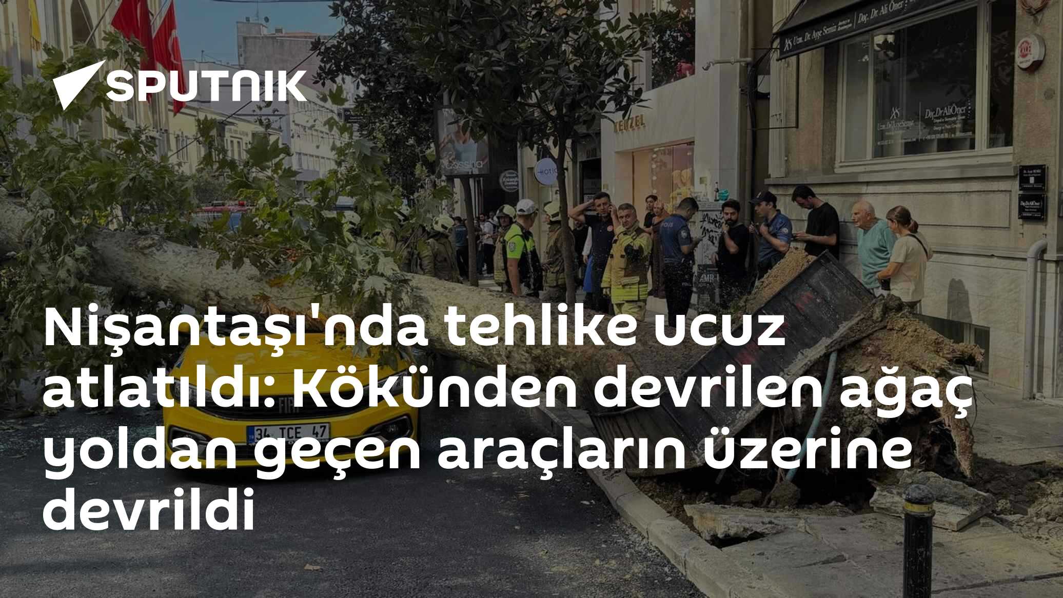 Nişantaşı'nda tehlike ucuz atlatıldı: Kökünden devrilen ağaç yoldan geçen araçların üzerine devrildi