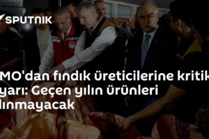 TMO'dan fındık üreticilerine kritik uyarı: Geçen yılın ürünleri alınmayacak
