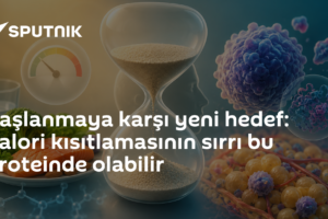 Yaşlanmaya karşı yeni hedef: Kalori kısıtlamasının sırrı bu proteinde olabilir