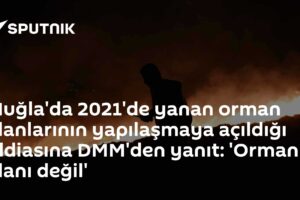 Muğla'da 2021'de yanan orman alanlarının yapılaşmaya açıldığı iddiasına DMM'den yanıt: 'Orman alanı değil'