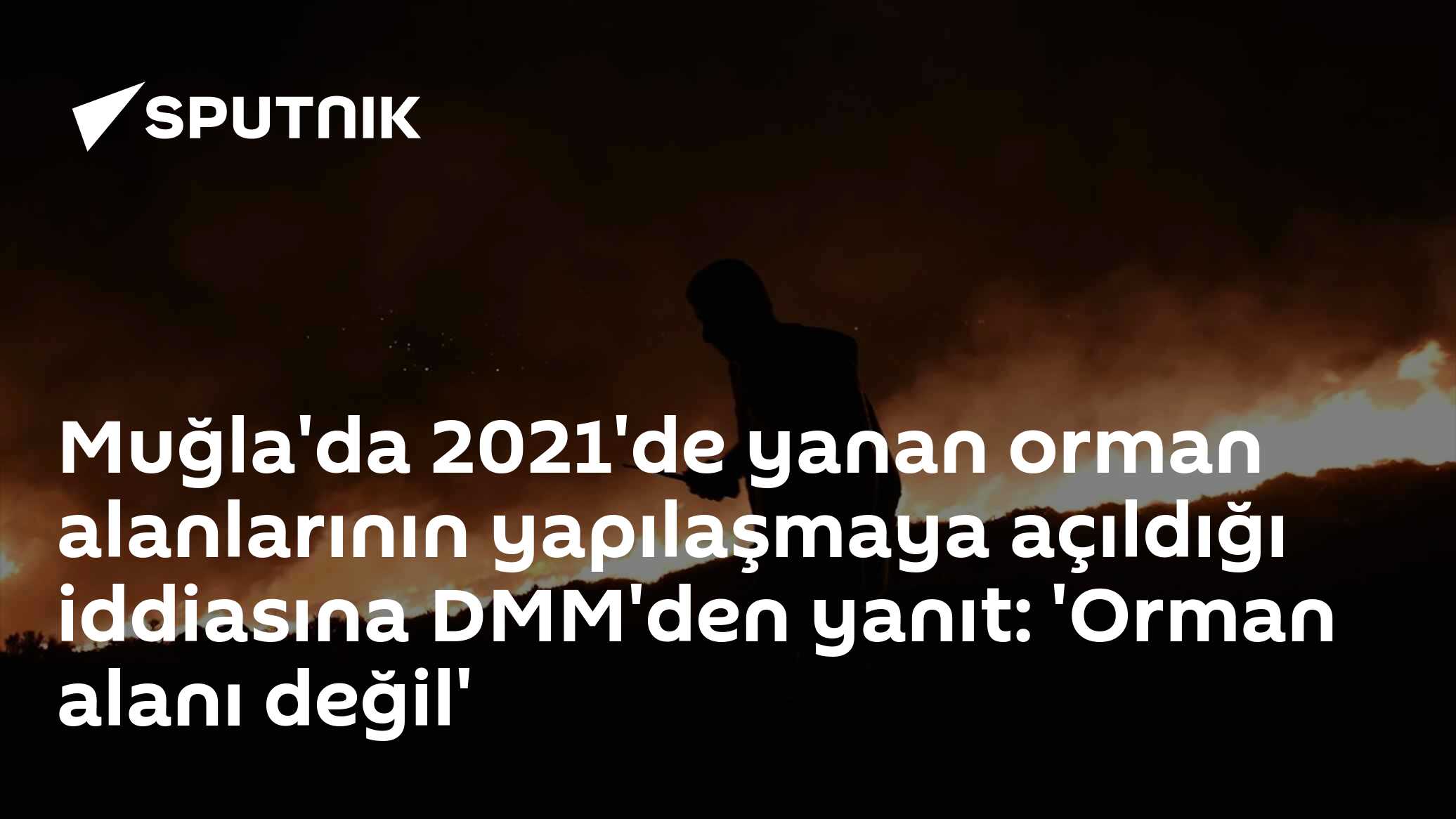 Muğla'da 2021'de yanan orman alanlarının yapılaşmaya açıldığı iddiasına DMM'den yanıt: 'Orman alanı değil'