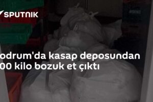 Bodrum'da kasap deposundan 400 kilo bozuk et çıktı