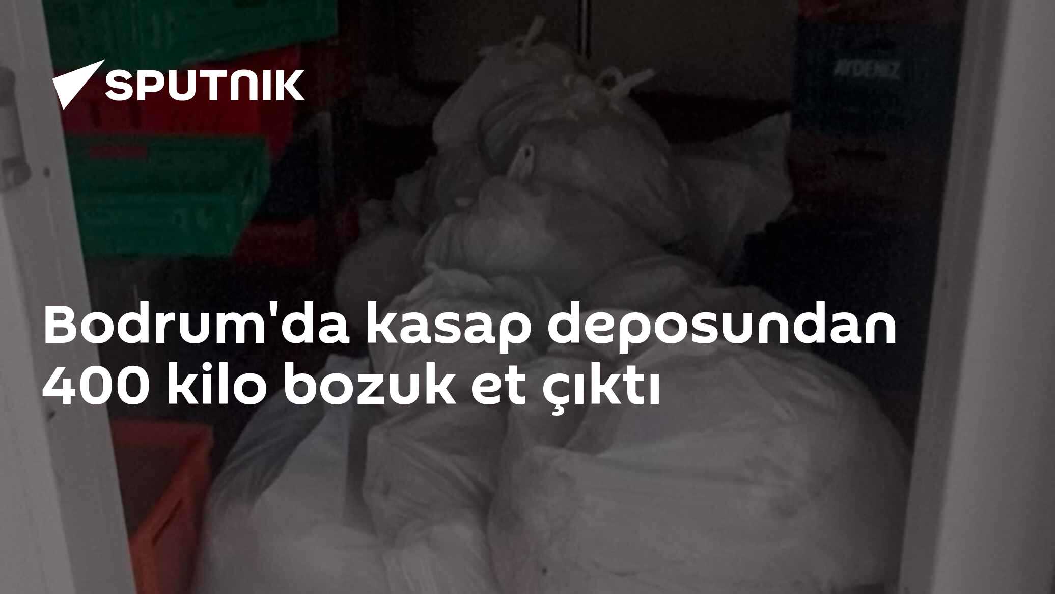Bodrum'da kasap deposundan 400 kilo bozuk et çıktı