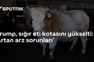 Trump, sığır eti kotasını yükselti: 'Artan arz sorunları'
