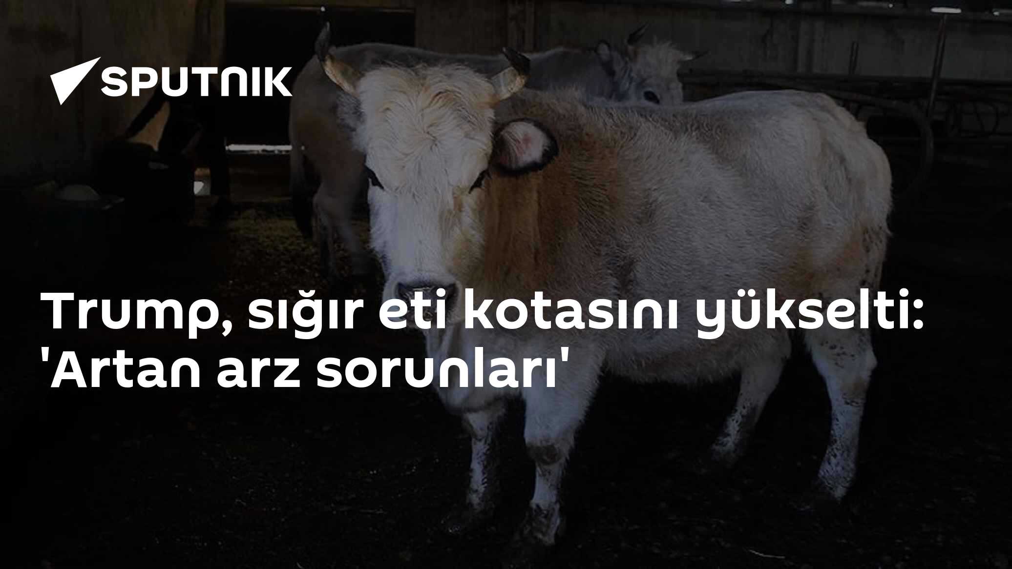 Trump, sığır eti kotasını yükselti: 'Artan arz sorunları'