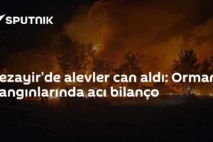 Cezayir'de alevler can aldı: Orman yangınlarında acı bilanço