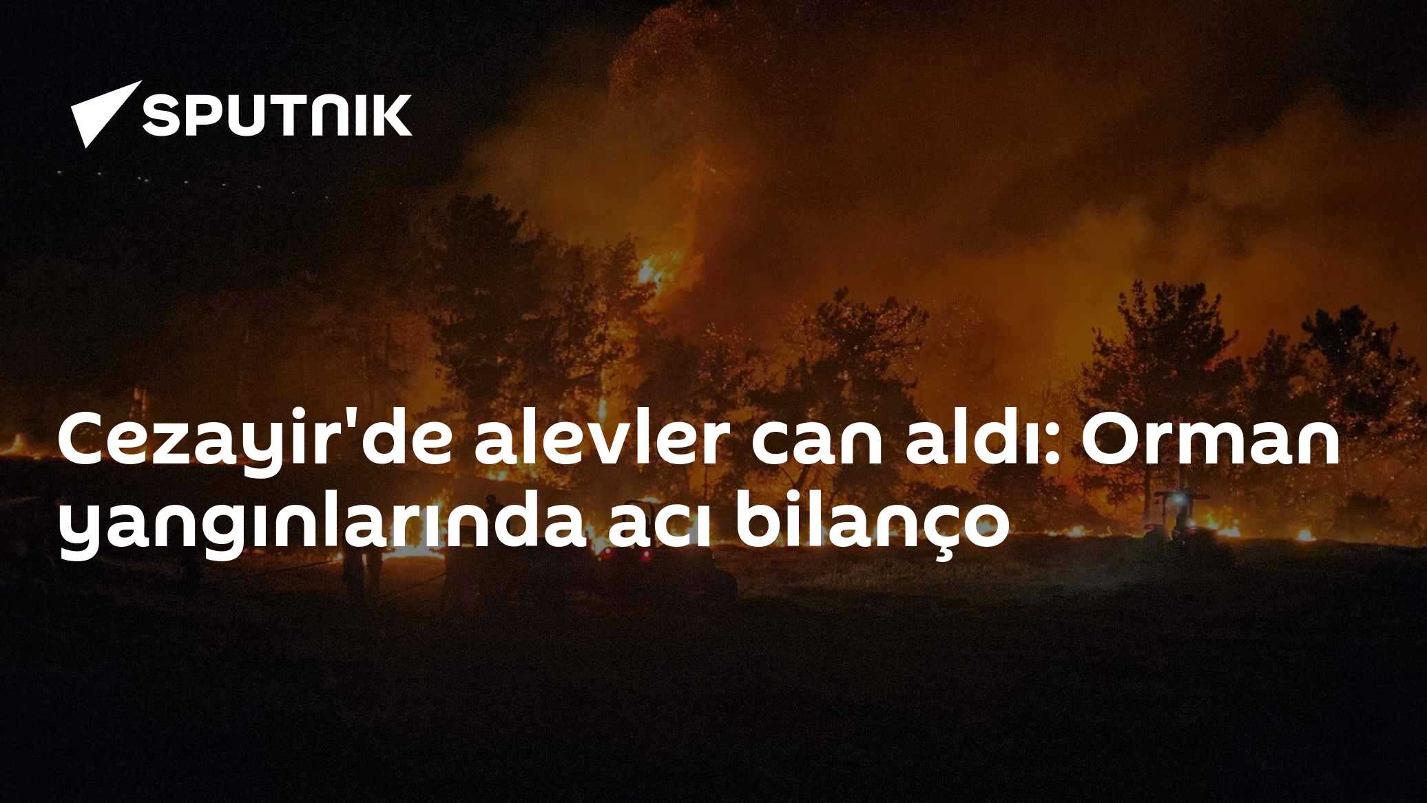 Cezayir'de alevler can aldı: Orman yangınlarında acı bilanço