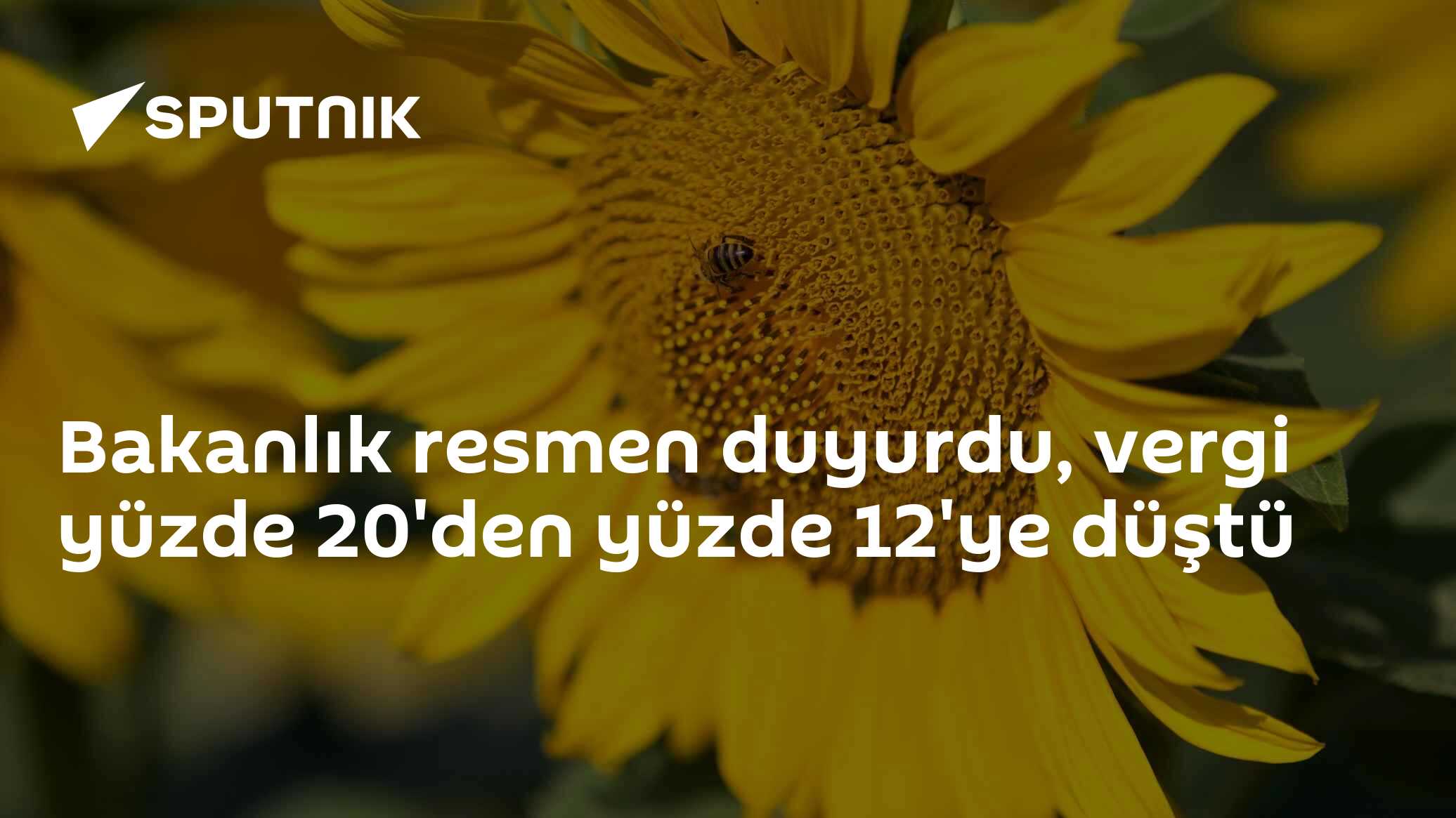 Bakanlık resmen duyurdu, vergi yüzde 20'den yüzde 12'ye düştü
