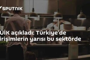 TÜİK açıkladı: Türkiye'de girişimlerin yarısı bu sektörde