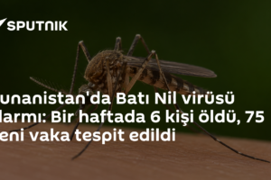 Yunanistan'da Batı Nil virüsü alarmı: Bir haftada 6 kişi öldü, 75 yeni vaka tespit edildi