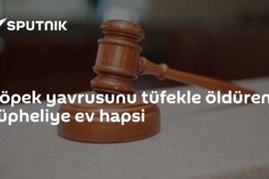 Köpek yavrusunu tüfekle öldüren şüpheliye ev hapsi