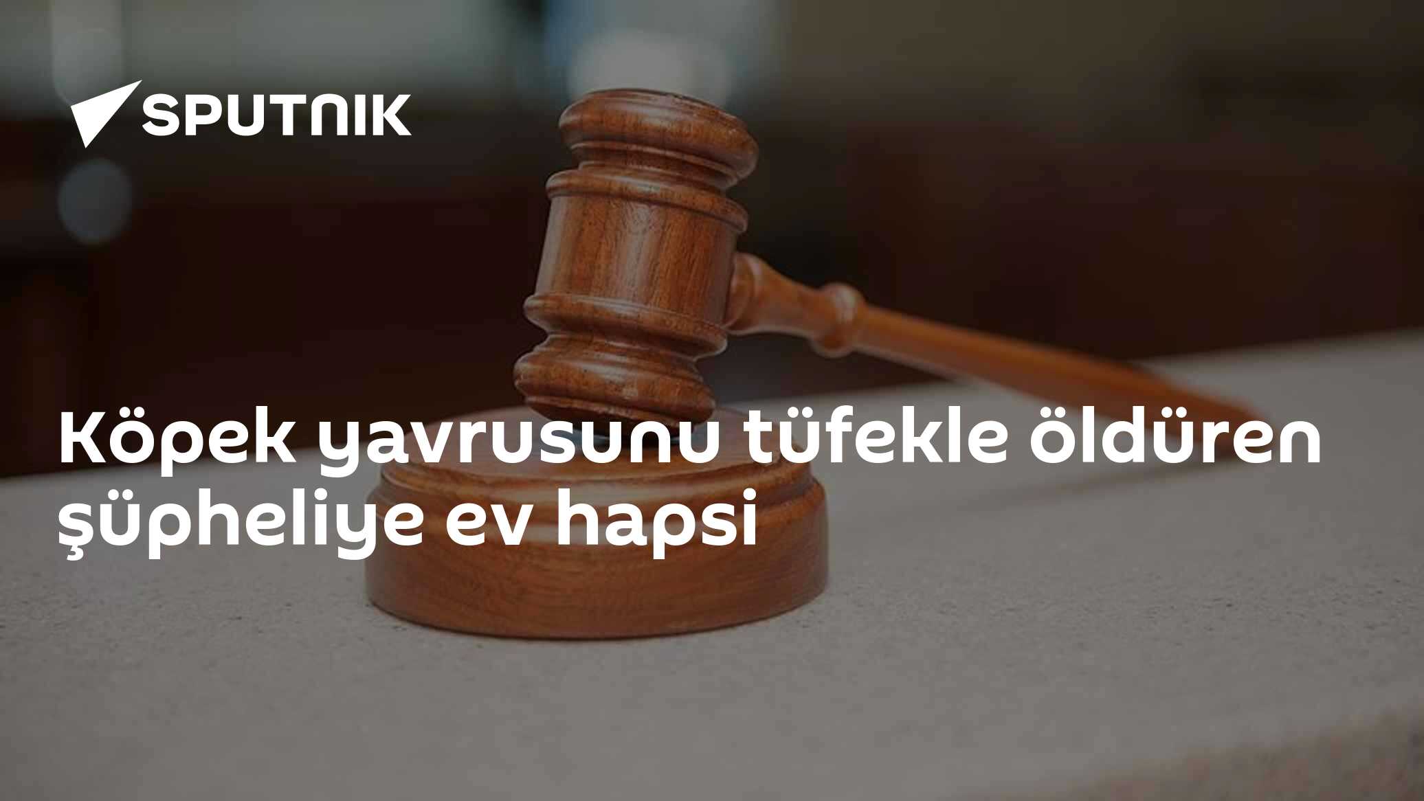 Köpek yavrusunu tüfekle öldüren şüpheliye ev hapsi