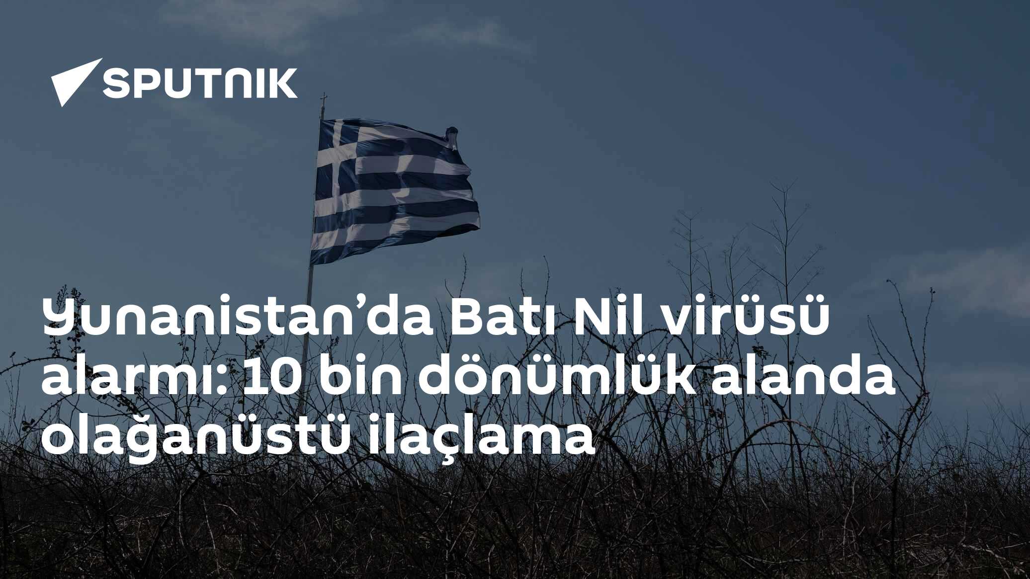 Yunanistan’da Batı Nil virüsü alarmı: 10 bin dönümlük alanda olağanüstü ilaçlama