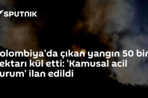 Kolombiya'da çıkan yangın 50 bin hektarı kül etti: 'Kamusal acil durum' ilan edildi